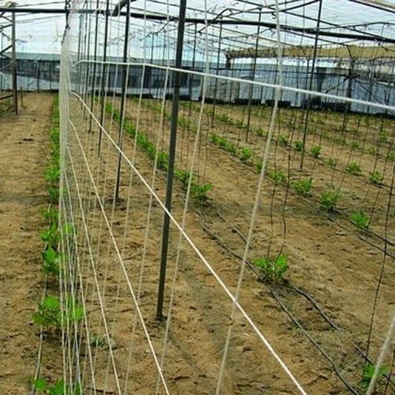 Filet à ramer en coton 100% biodégradable - Lonobio