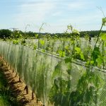 Filets de protection LONOBIO polyvalent contre la grêle